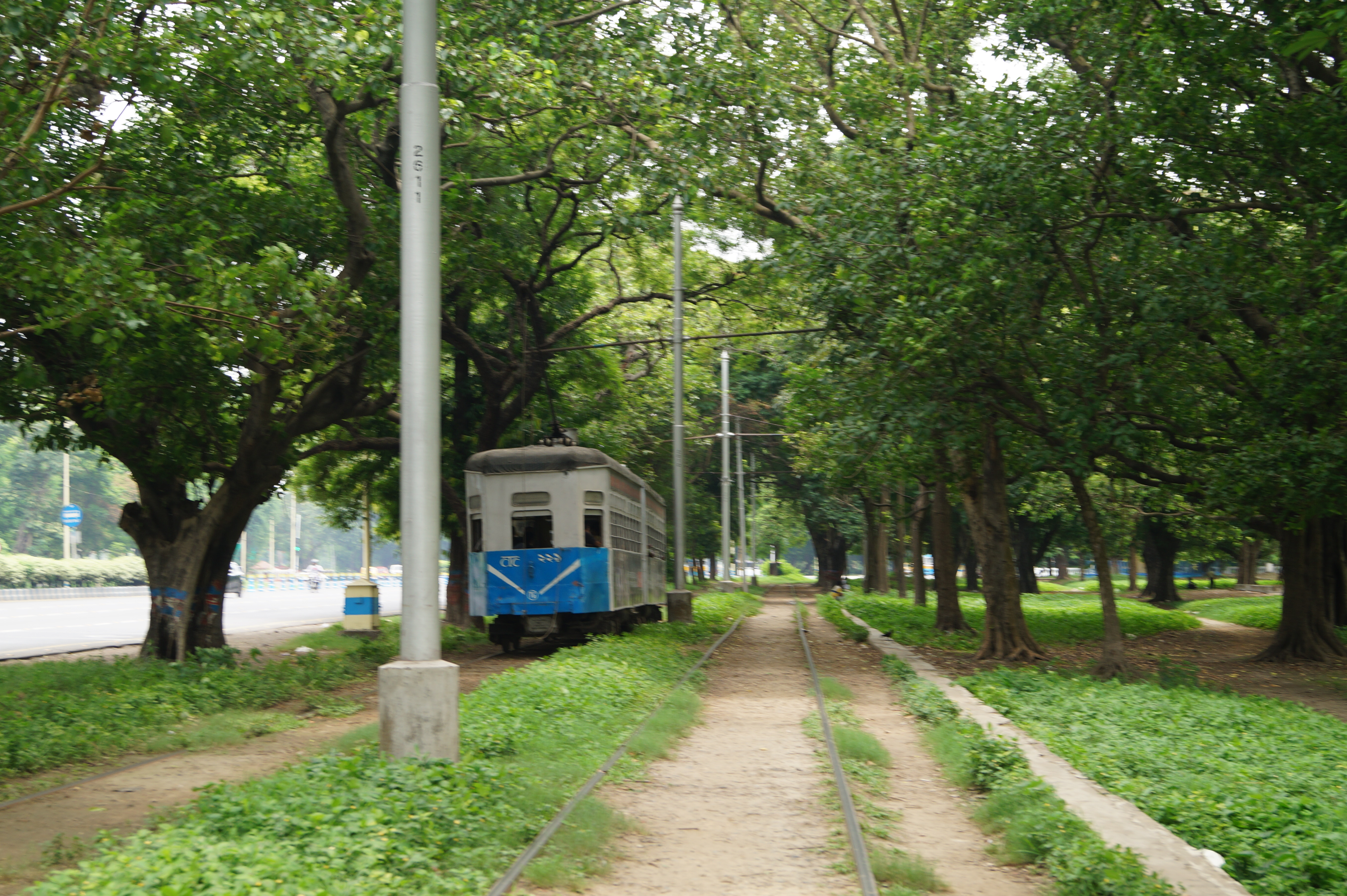 A tram chugs through the Maidan. Photo by Kasturi Basu