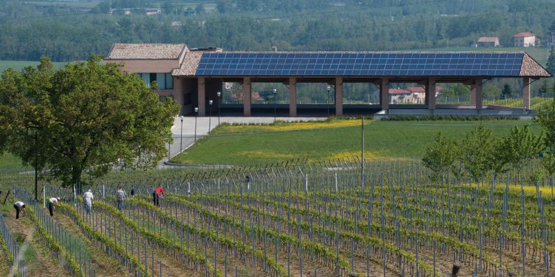 wineries