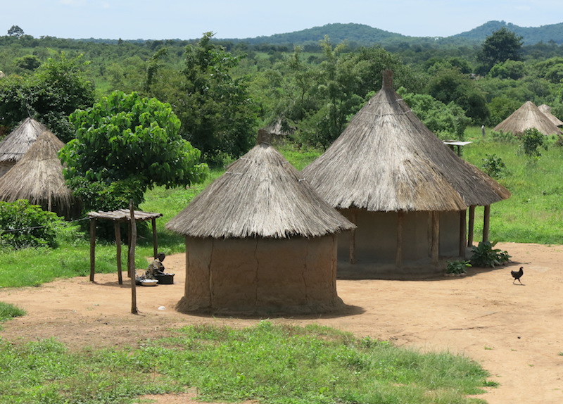 A cluster of Malawi huts. The walls of such huts are circular, and typically have only one door. Photo credit: stuartcopeland007.files.wordpress