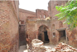Plantation at the backdrop of bricks