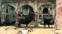 New friends of shikargah (courtesy: indianexpress.com)