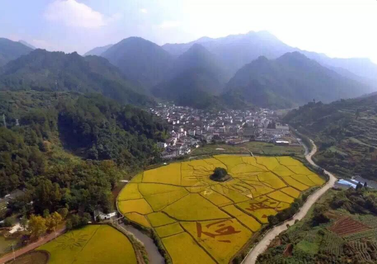 image_1_yuyuan