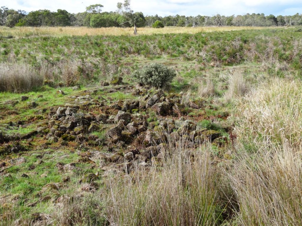 The remains of stone eel traps at the Budj Bim Cultural Landscape. Photo credit: denisbin via on Flickr
