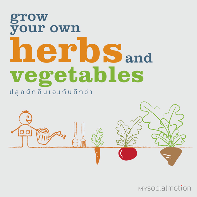 Grow your own herbs and vegetables