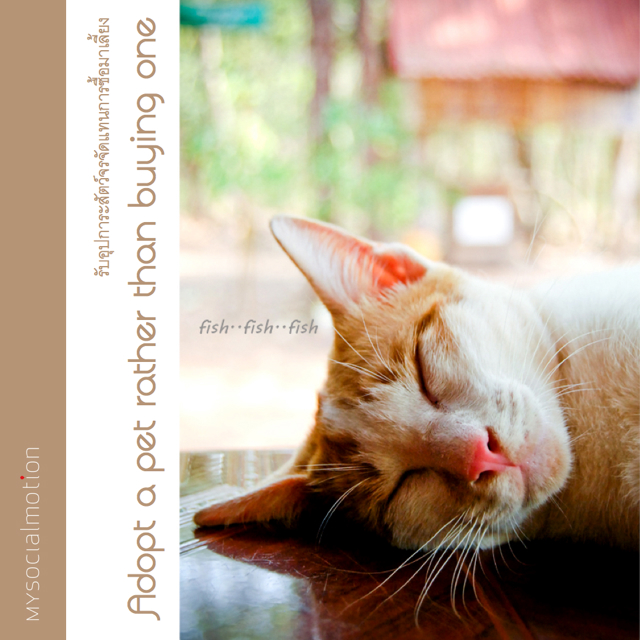 Adopt a pet rather than buying one