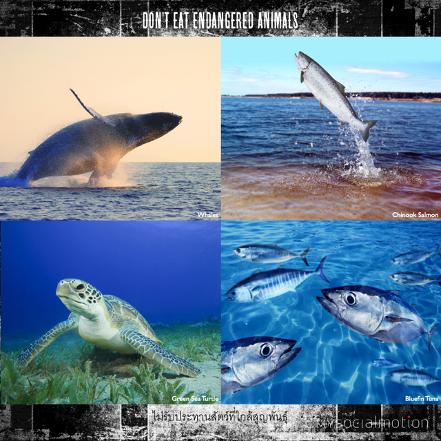 Don't eat endangered animals