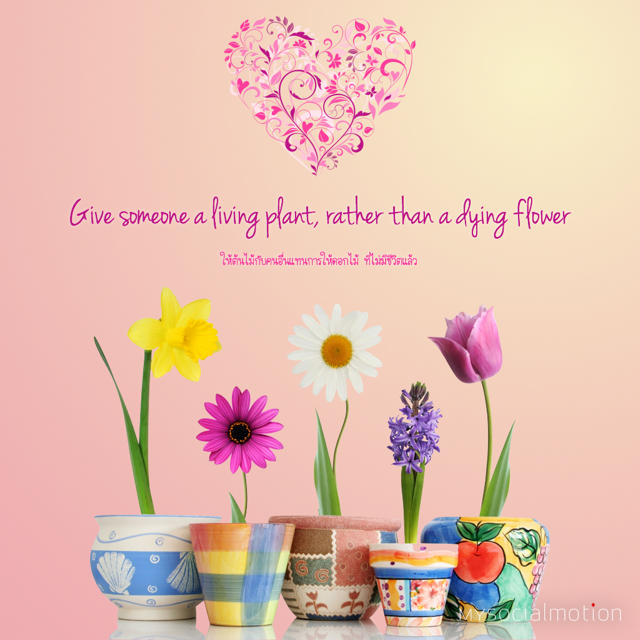 Give someone a living plant, rather than a dying flower
