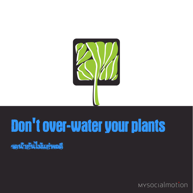 Don't overwater your plants