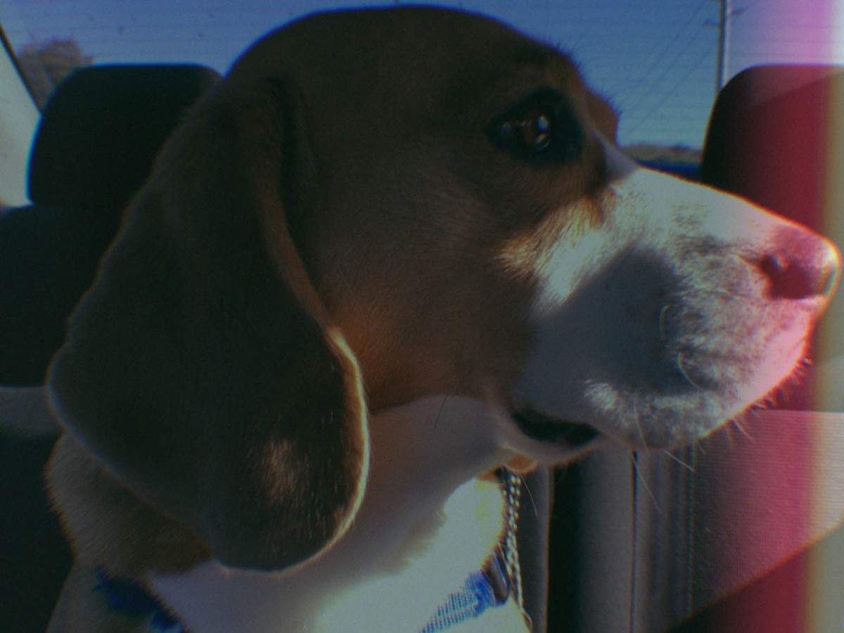 Photo: Amvsement