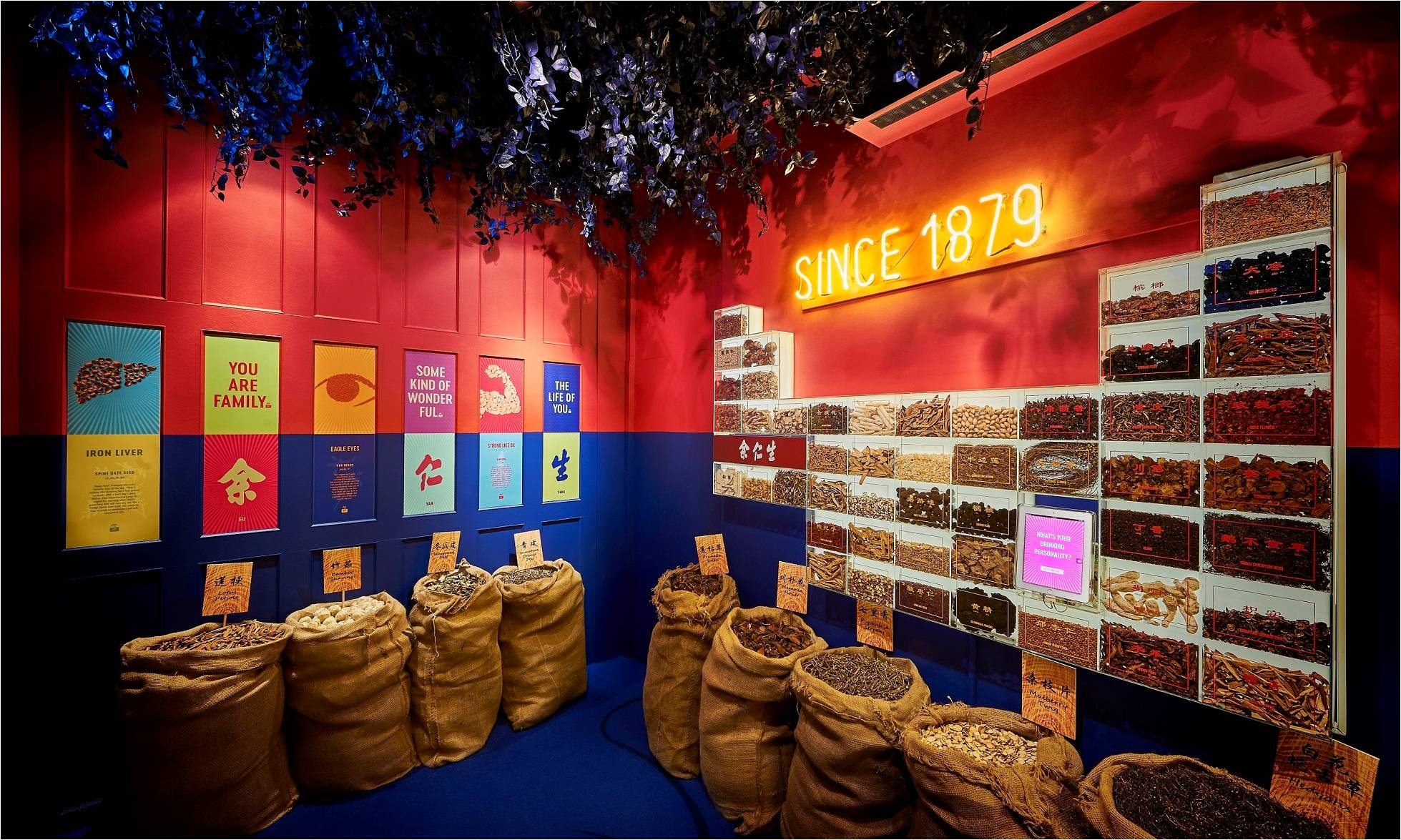 A case study picture