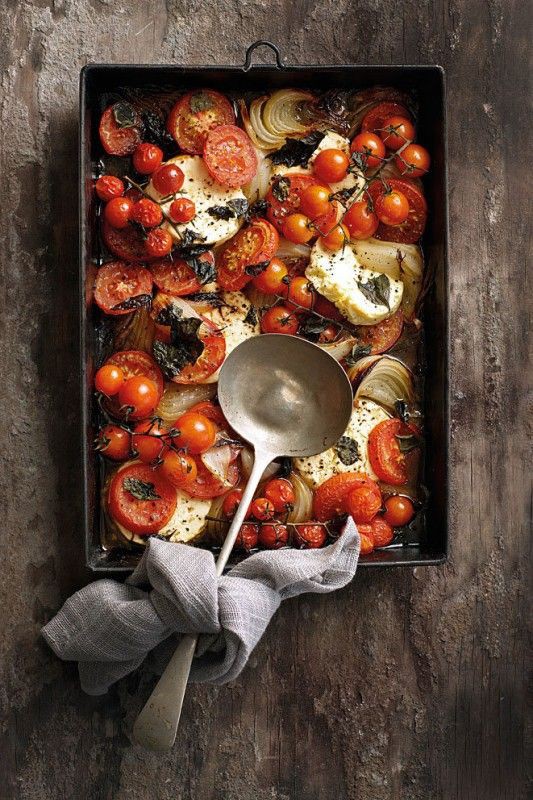 0448efcf2f9aadaa93359db5940f80cb