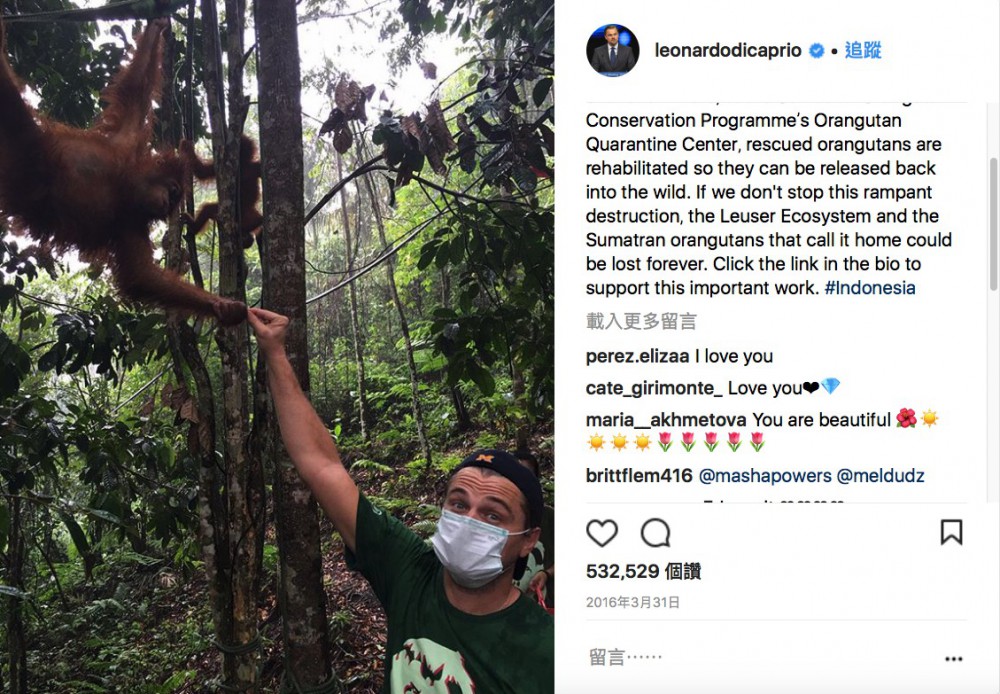 leonardodicaprio@instagram