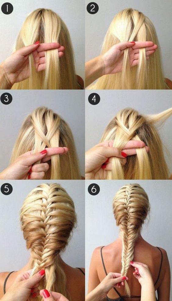 braidhairidea