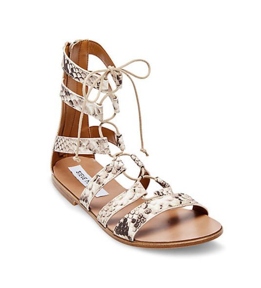 Steve Madden