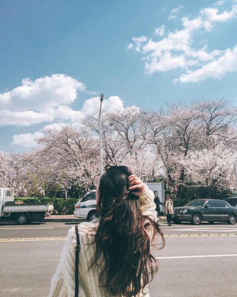 Pinterest