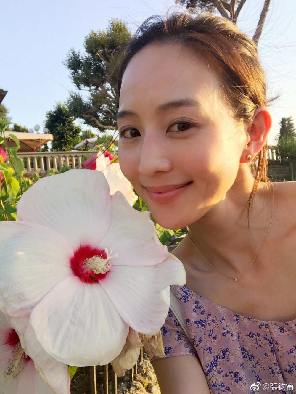 張鈞甯@Weibo