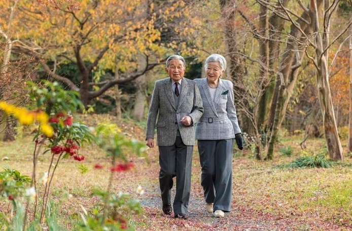 螢幕快照-2018-11-15-下午12.03.06