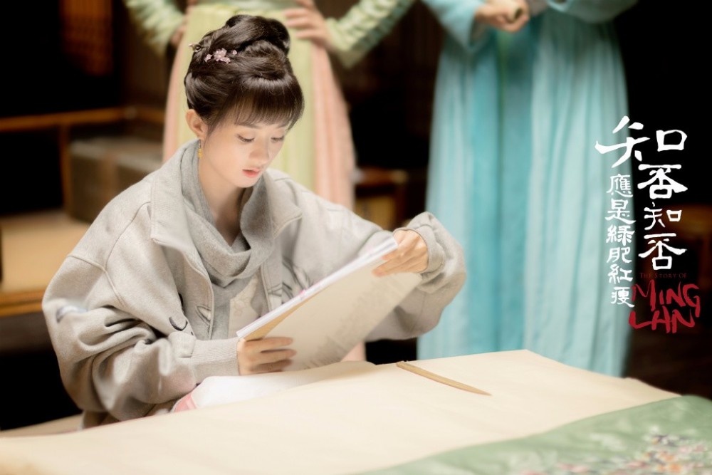 知否知否應是綠肥紅瘦