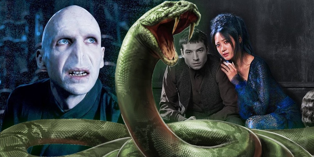 《Fantastic Beasts: The Crimes of Grindelwald》