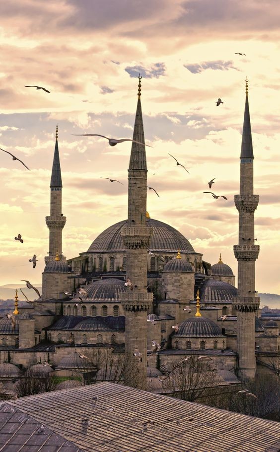 Pinterest