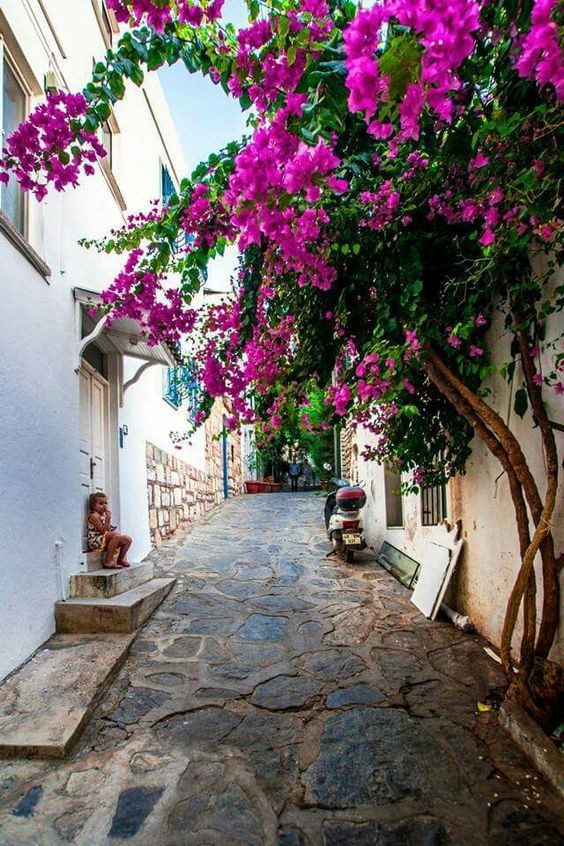 Pinterest