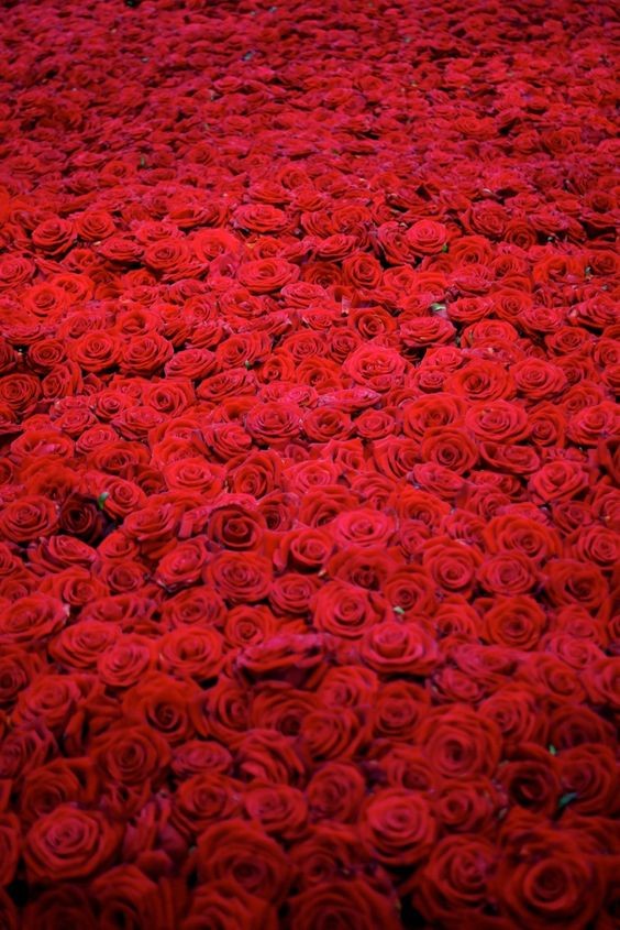 Pinterest