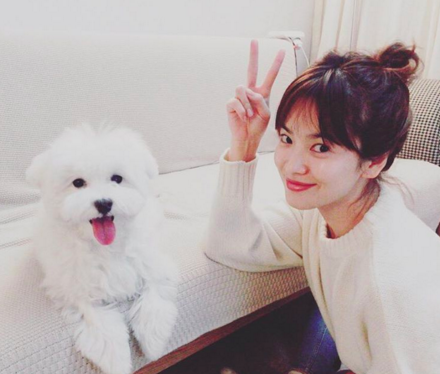 Screen Shot 2016-04-12 at 12.55.24 PM