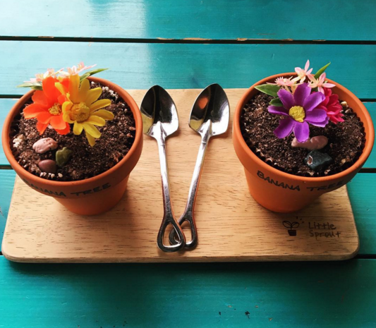 instagram https://www.instagram.com/p/BAEUBzQhnyq/?tagged=%EB%B0%94%EB%82%98%EB%82%98%ED%8A%B8%EB%A6%AC