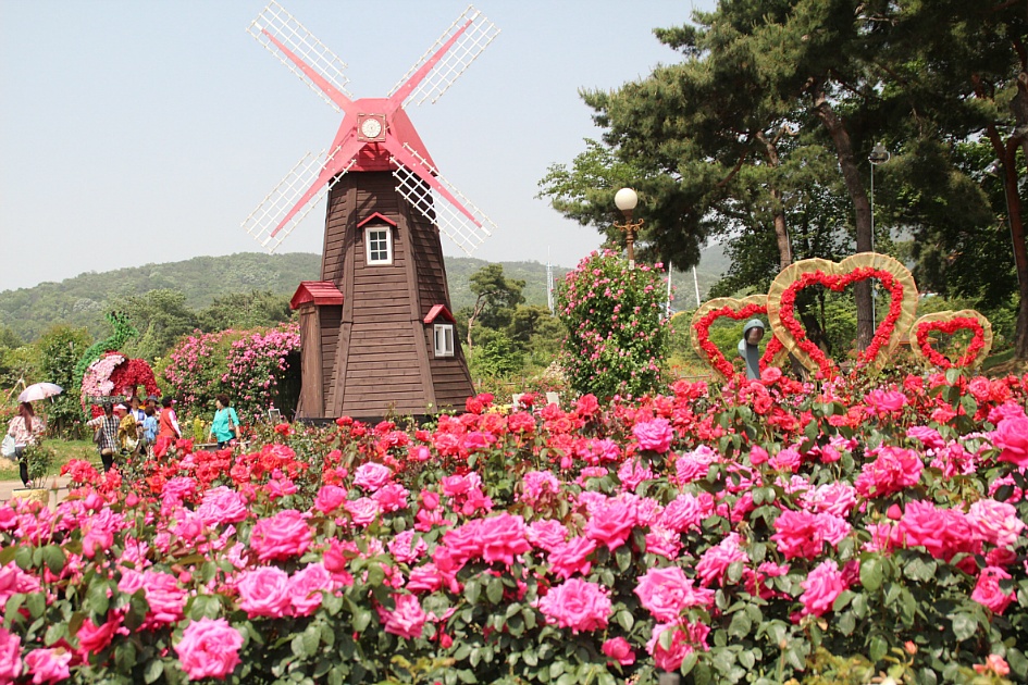 SeoulGrandPark rose festival7