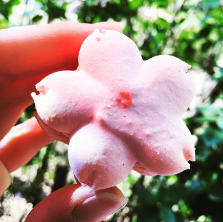 instagram https://www.instagram.com/p/BEDayLyovXC/?tagged=kampron