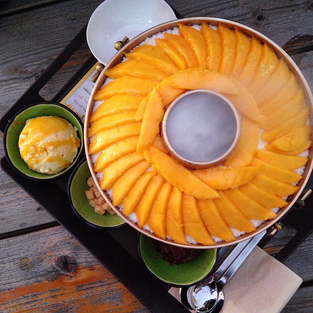 JEJU MANGO HOLIC 3