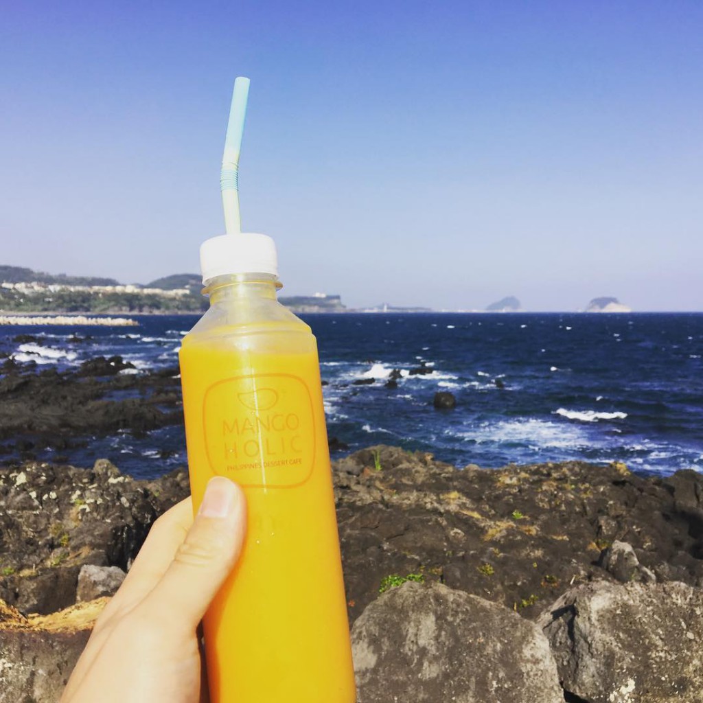 JEJU MANGO HOLIC 4