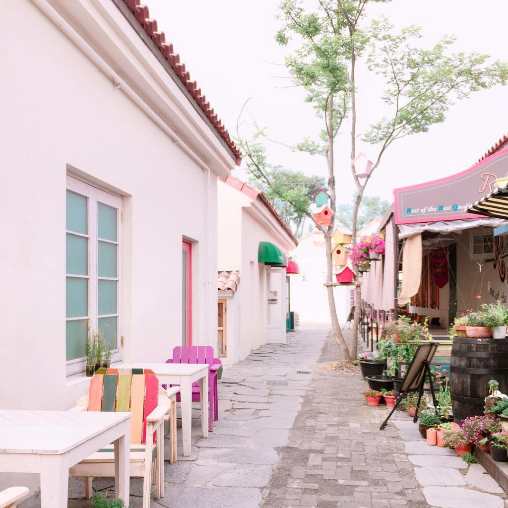 damyang MetaProvence 9