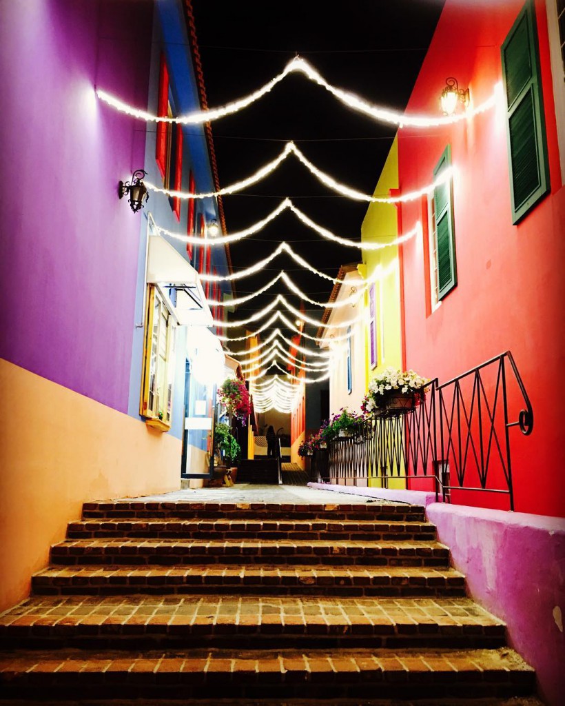 damyang MetaProvence 11