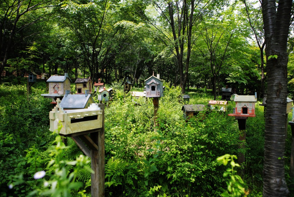 eunicegarden