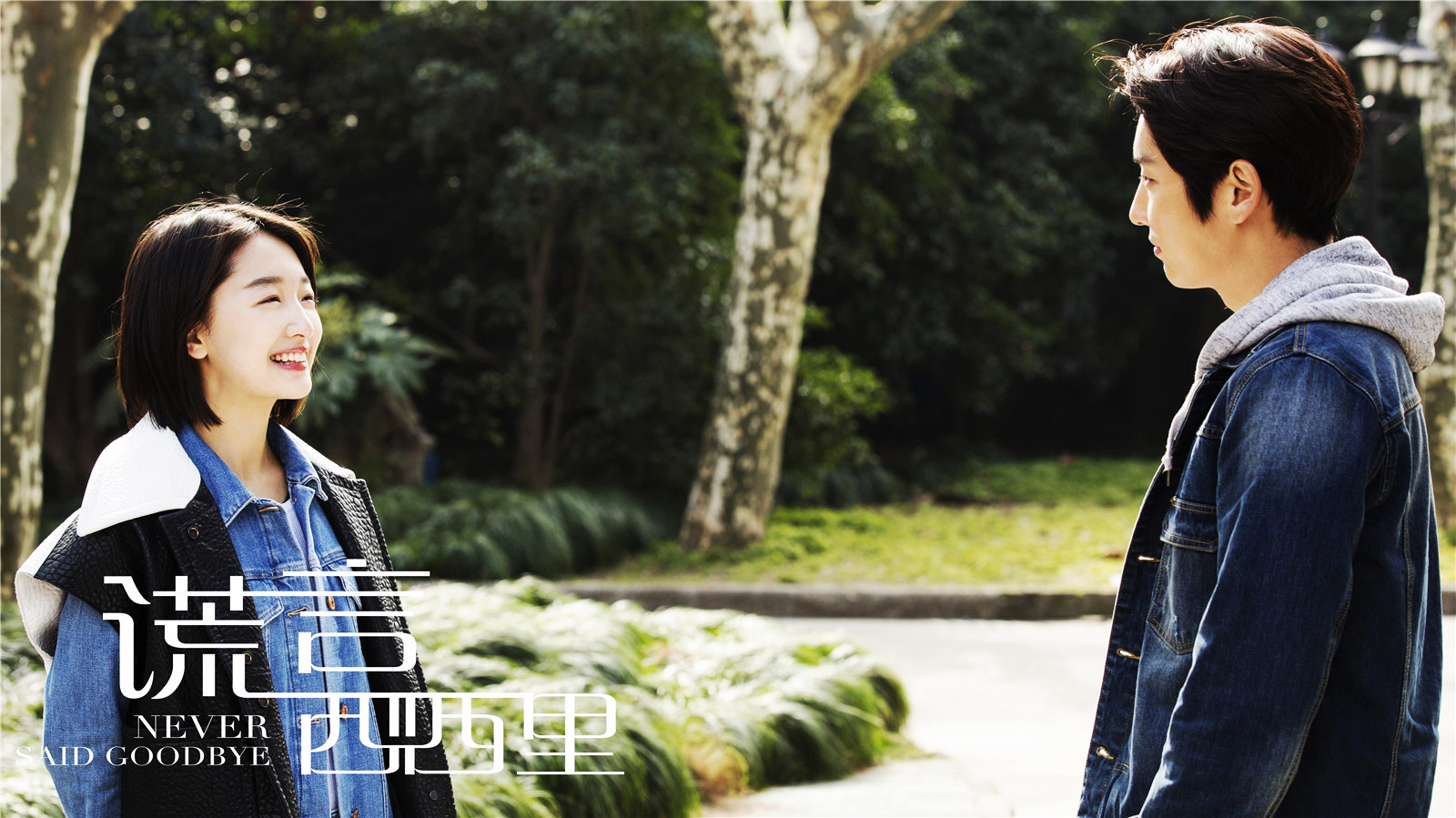 neversaidgoodbye