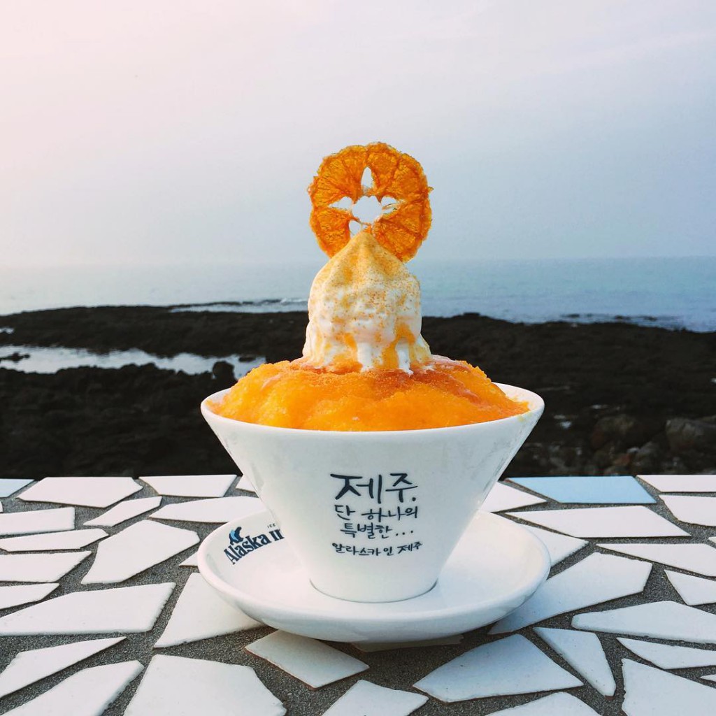 alaska_in_jeju 3