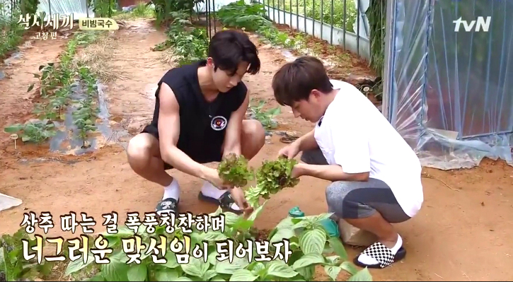 threemeals