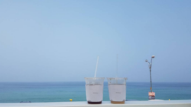 glasshaus-