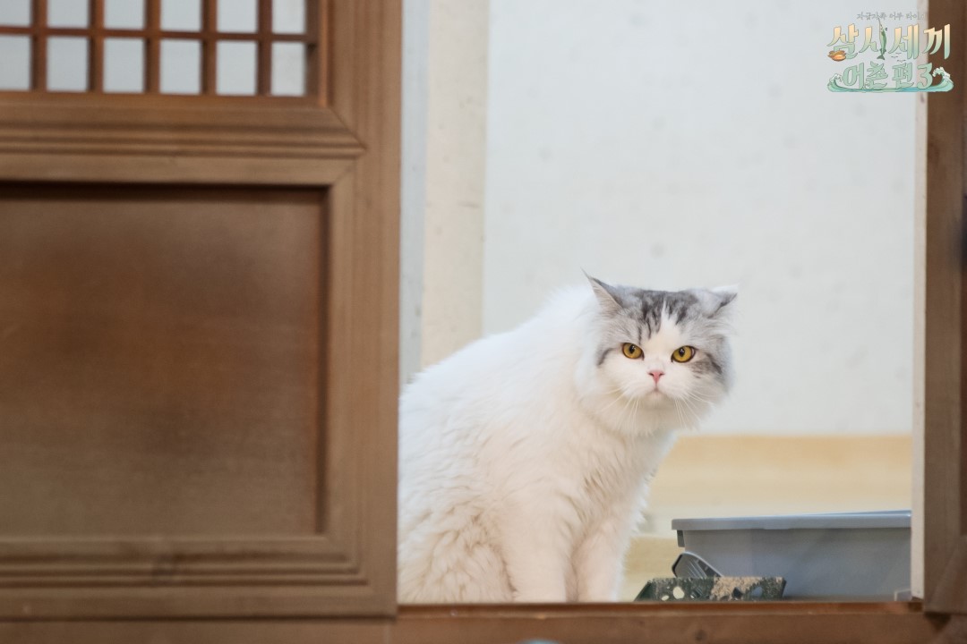 3meals1day-ep2-teaser