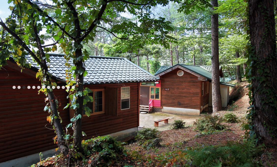 snrf.co.kr