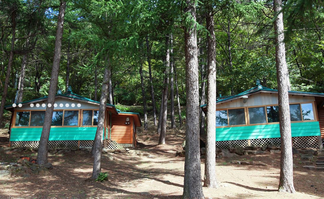 snrf.co.kr