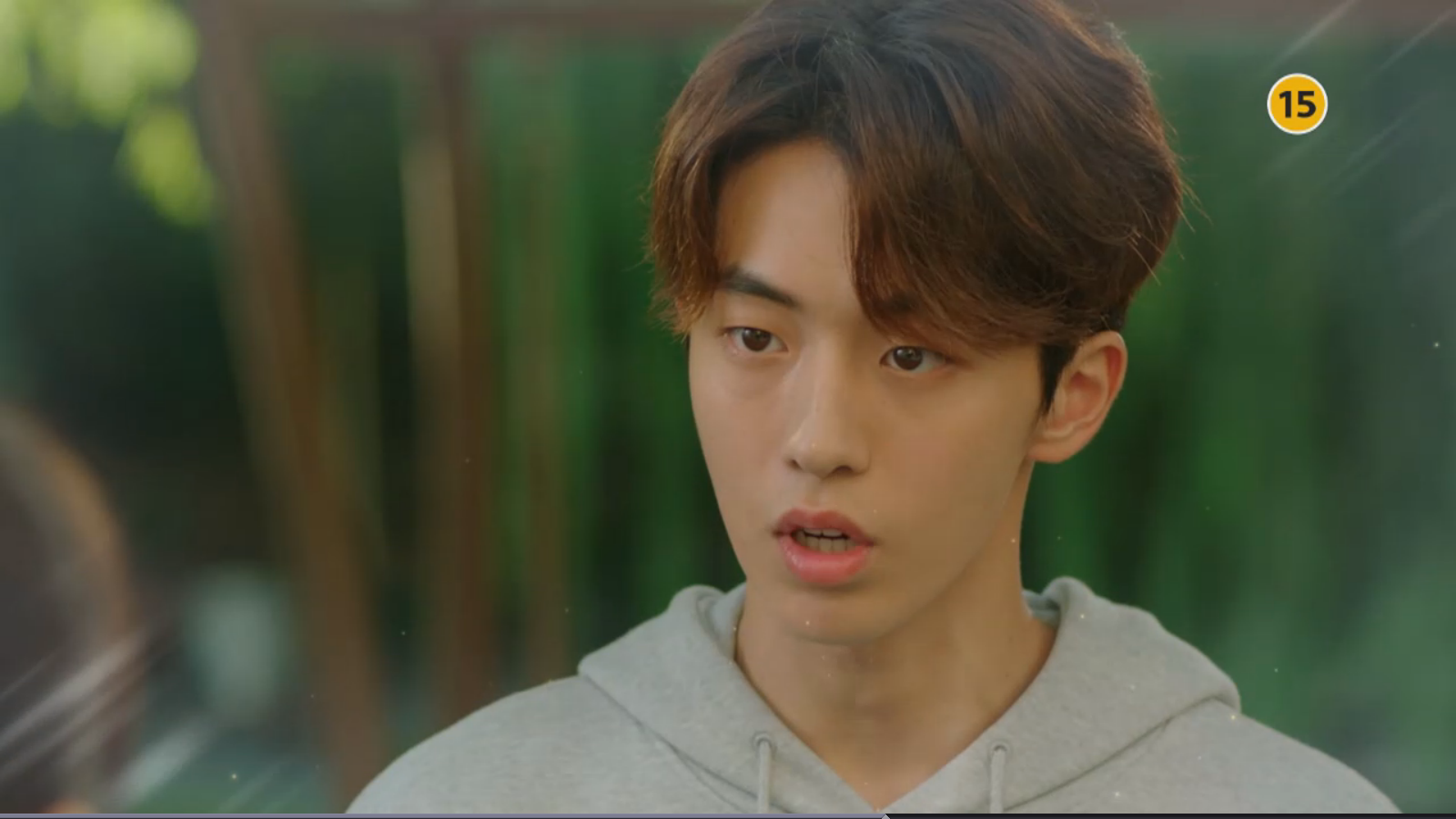 weightlifting-fairy