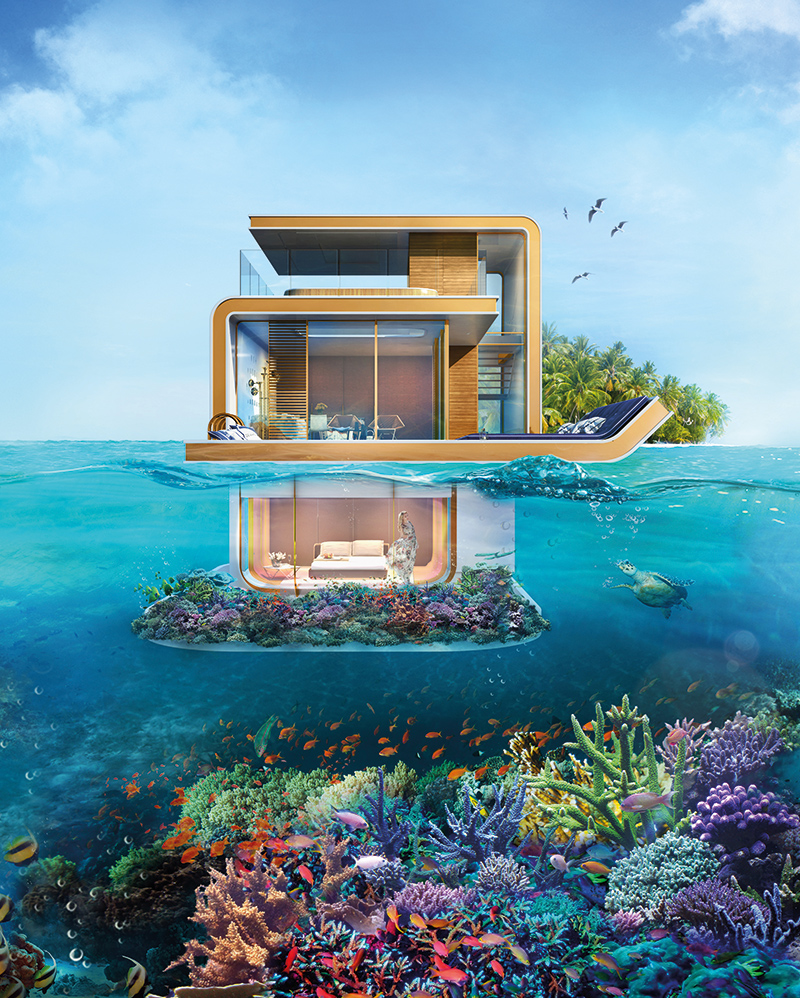 The Floating Seahorse