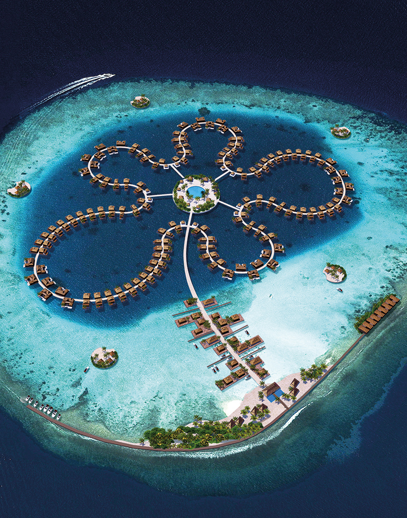 The Ocean Flower