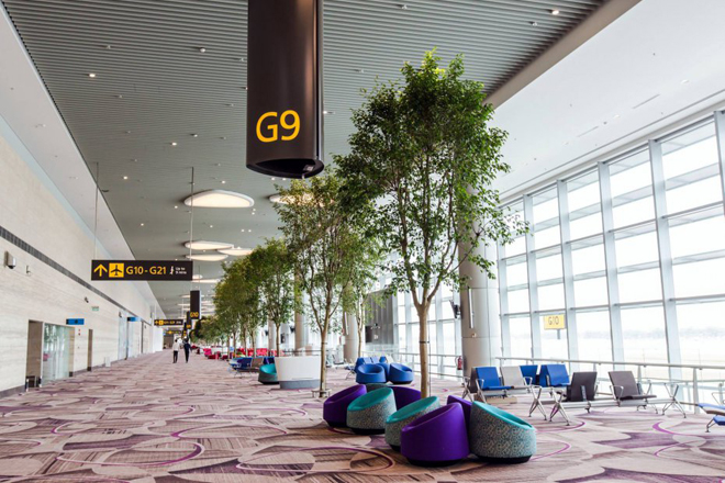 Boulevard of Tree - Image courtesy Changi Airport Group