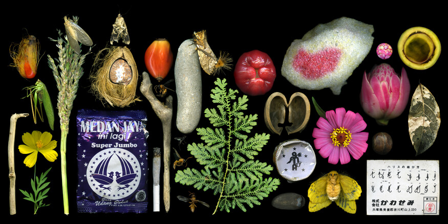 Angki Purbandono, Souvenir From Tangkahan, 2017. Image courtesy of Mizuma
