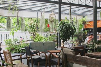 บรรยากาศร้าน ร้านIwane Goes Nature