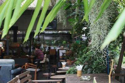 บรรยากาศร้าน ร้านIwane Goes Nature