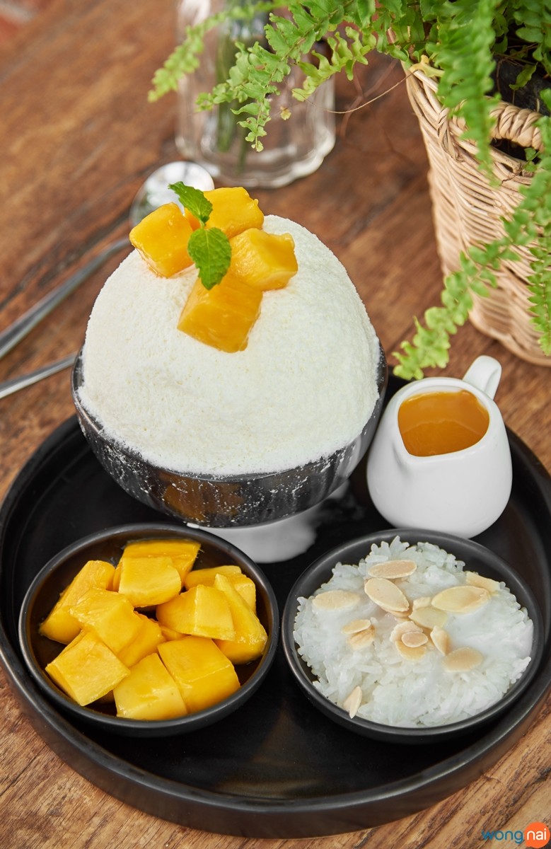 Bingsu Mango Sticky Rice (169 บาท) หวานเย็นในสไตล์ลูกครึ่ง เมื่อบิงซูเนื้อนุ่มสัญชาติเกาหลี มาประกบคู่เข้ากับความอ่อนหวานของข้าวเหนียวมะม่วงสัญชาติไทย เพิ่มรสชาติด้วยซอสมะม่วงสด จึงเกิดเป็นความงดงามทางรสชาติที่ลงตัว ราวกับได้เจอโอปป้าตัวเป็นๆ มายืนอยู่ตรงหน้าก็ว่าได้